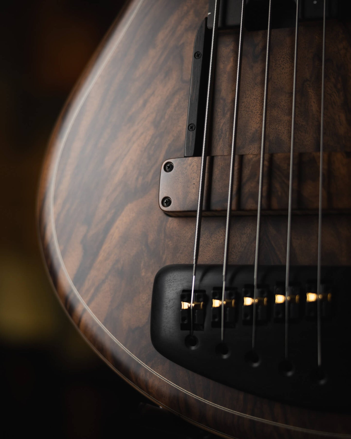F Bass AC5 Classic Crotch Walnut 2025 (end-2025)