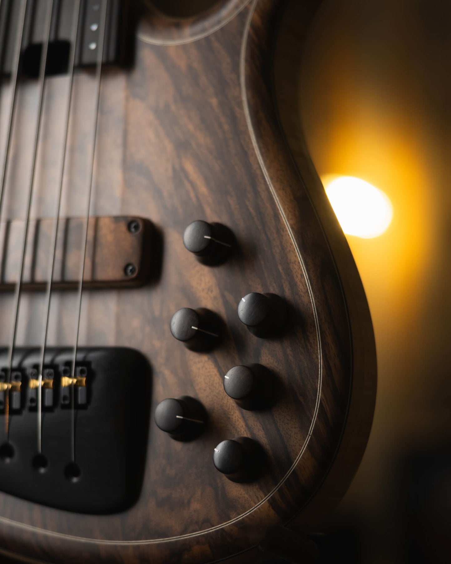 F Bass AC5 Classic Crotch Walnut 2025 (end-2025)
