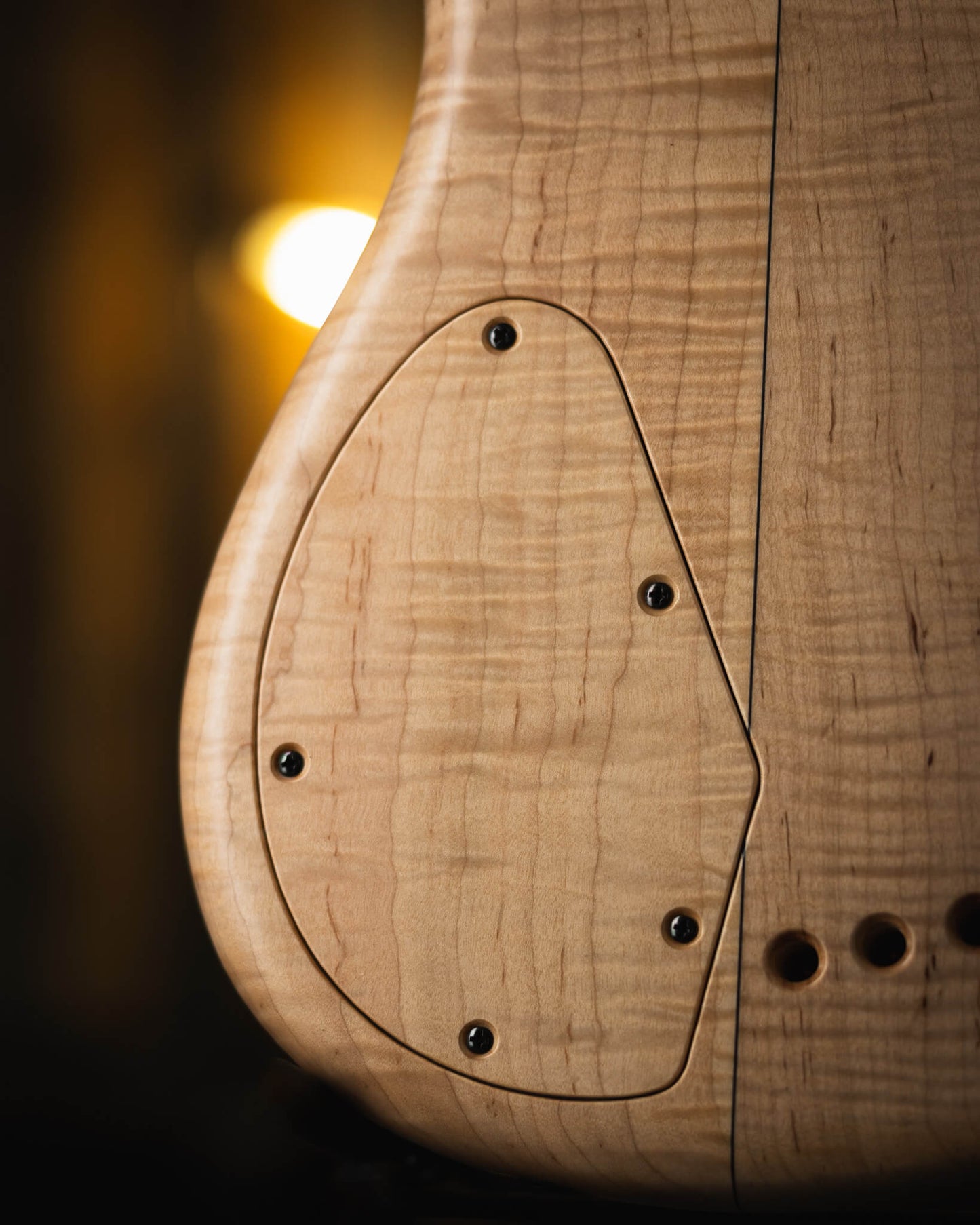 F Bass AC5 Classic Crotch Walnut 2025 (end-2025)