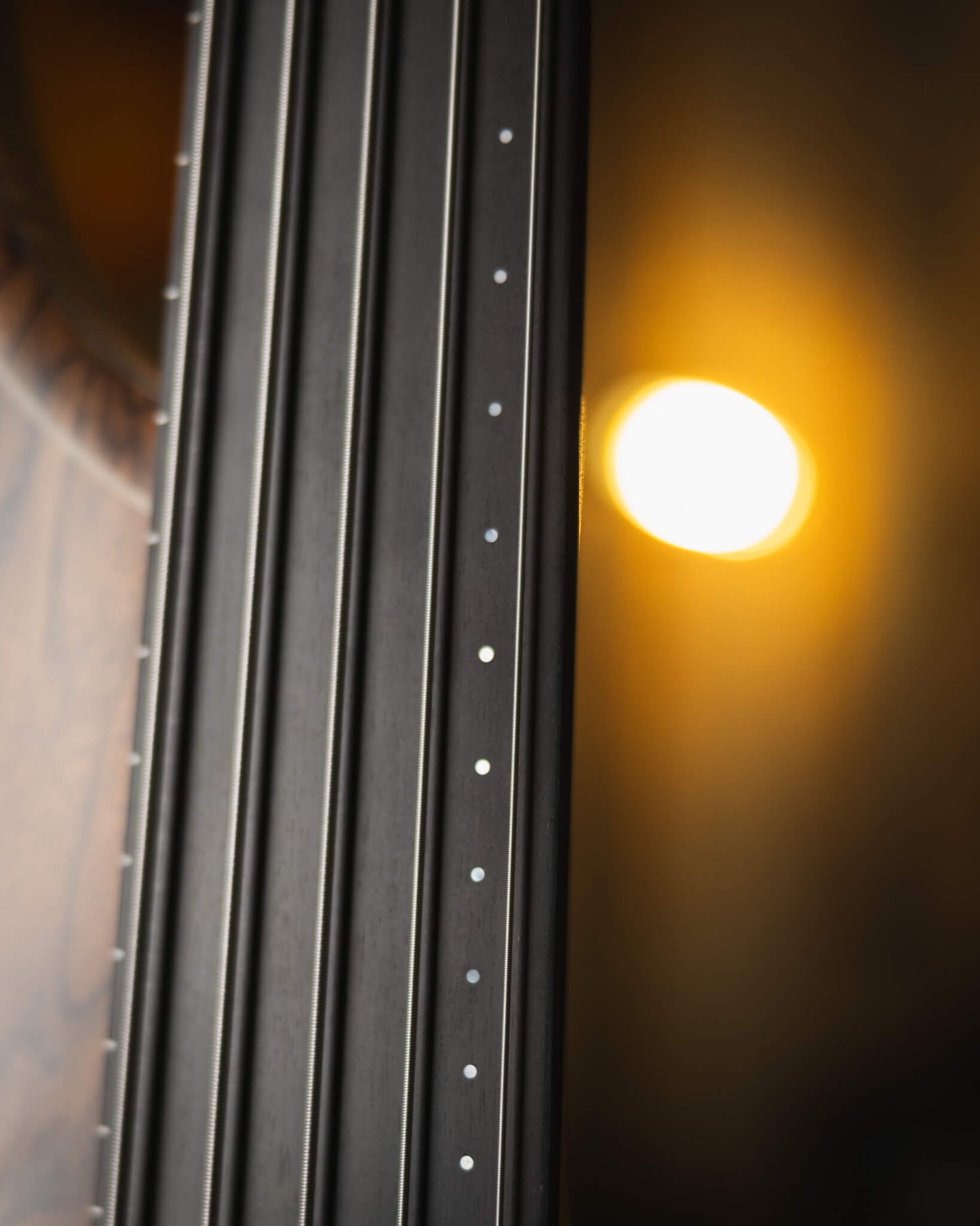 F Bass AC5 Classic Crotch Walnut 2025 (end-2025)