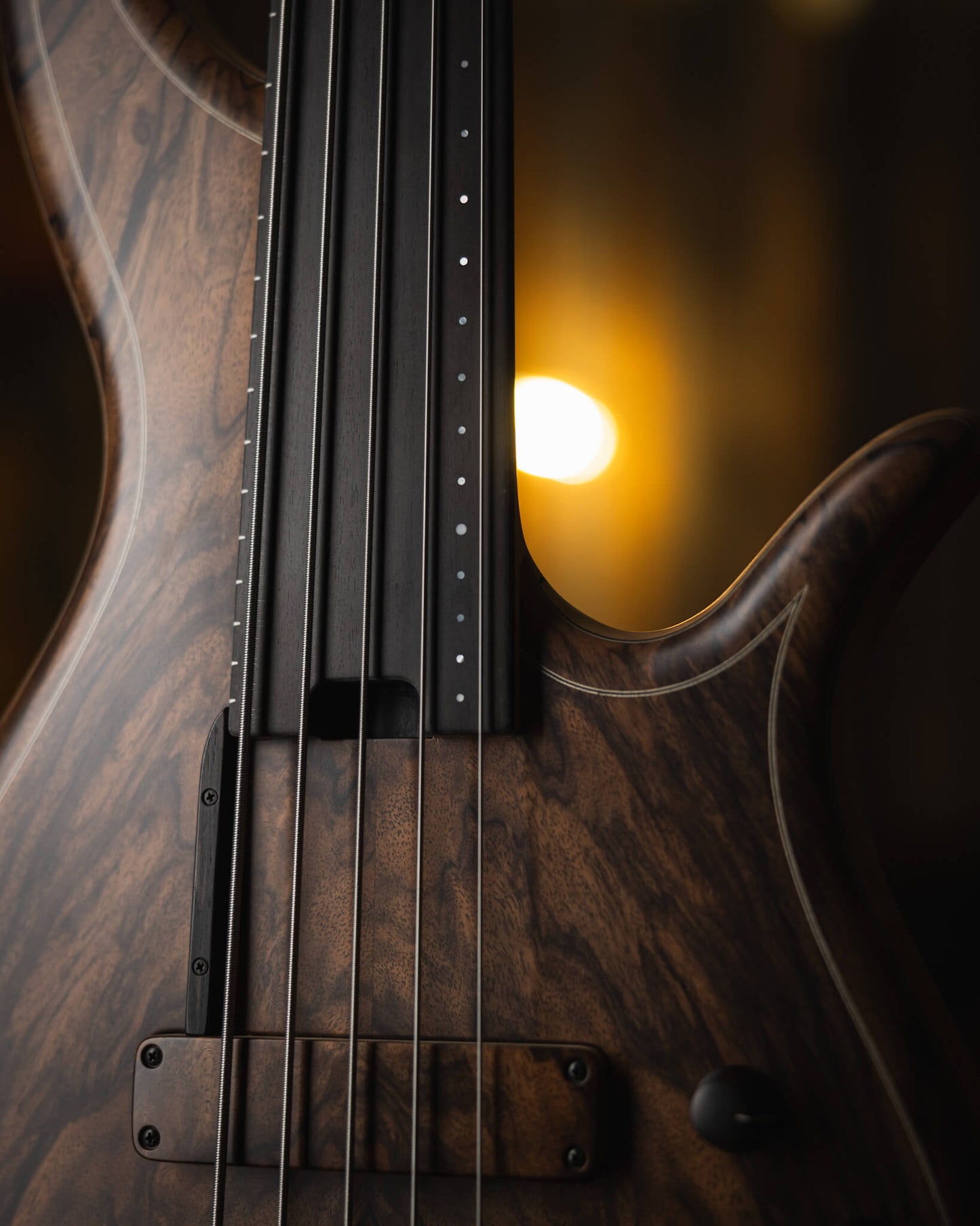 F Bass AC5 Classic Crotch Walnut 2025 (end-2025)