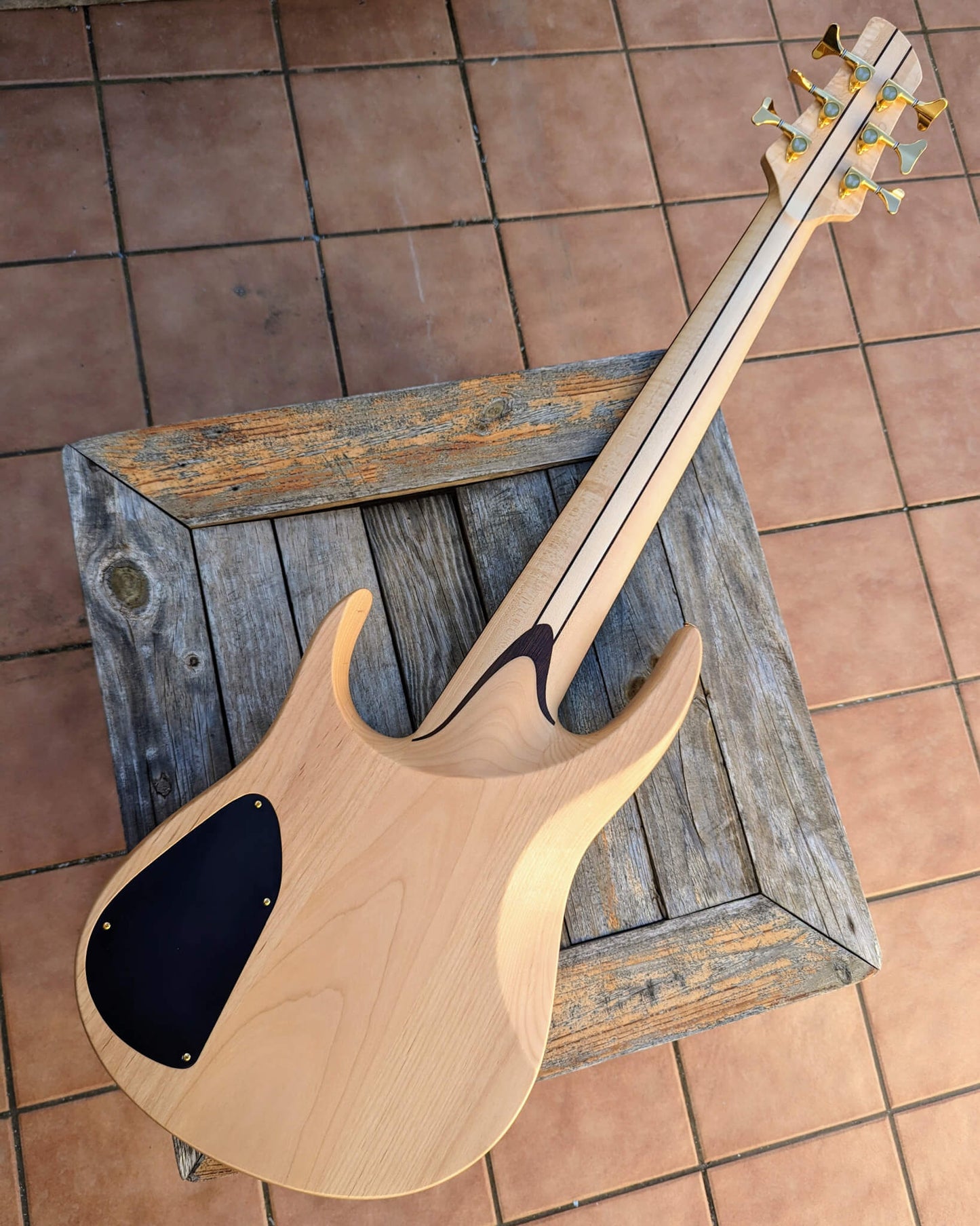 Fodera Contrabass 6 Elite Holly 2022
