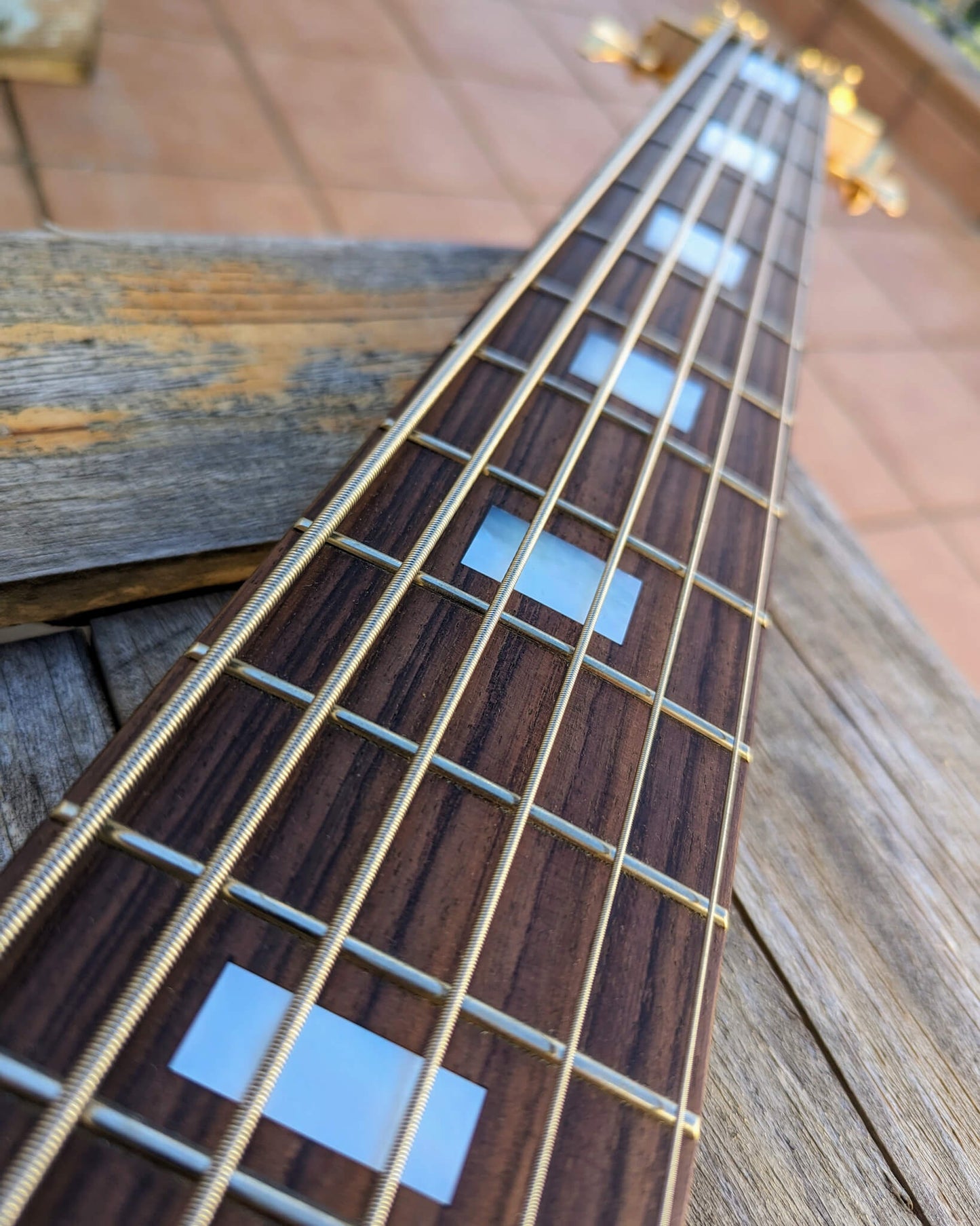 Fodera Contrabass 6 Elite Holly 2022