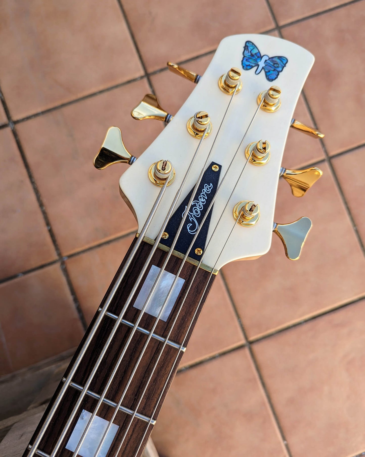 Fodera Contrabass 6 Elite Holly 2022