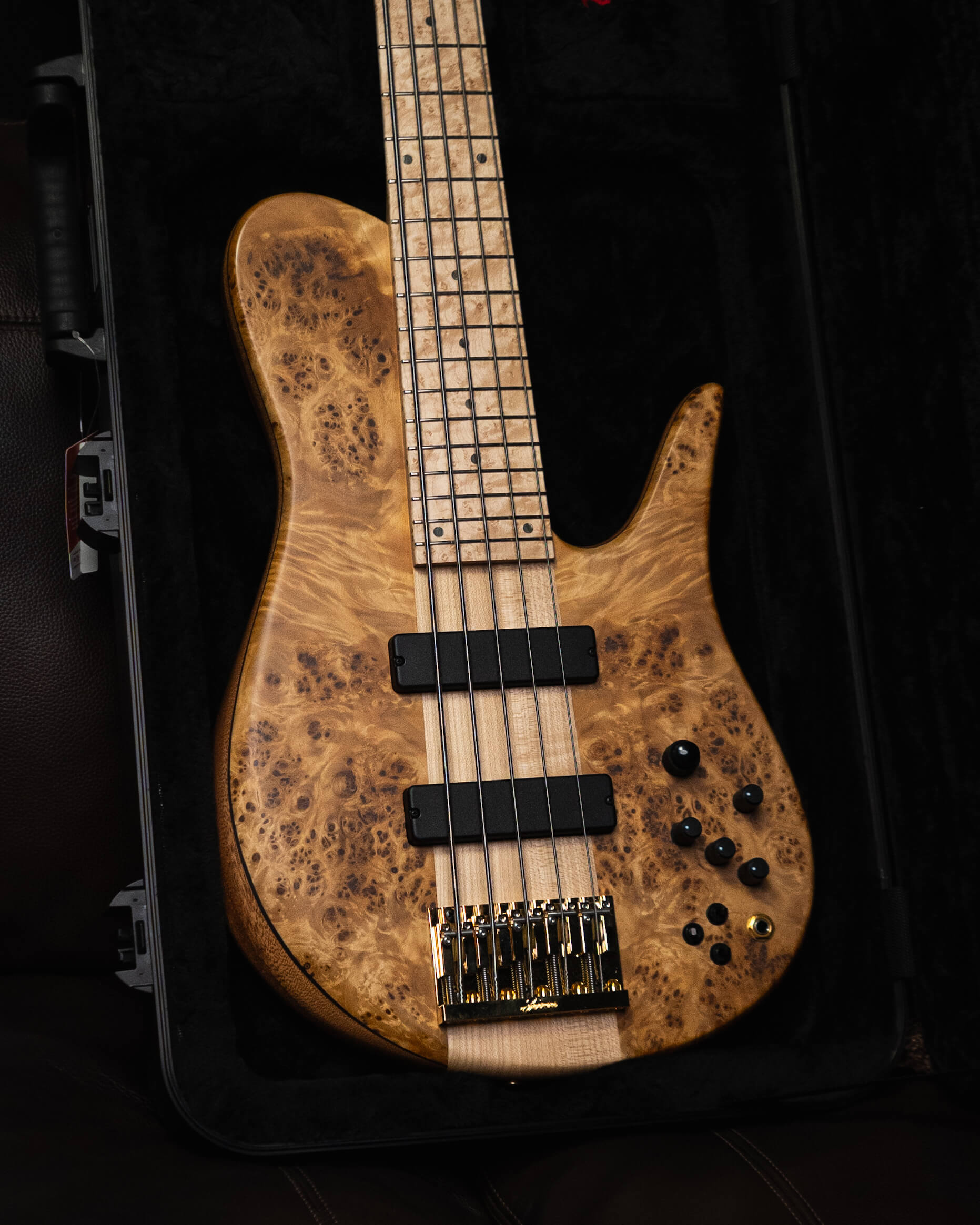 Fodera bass 5 string store