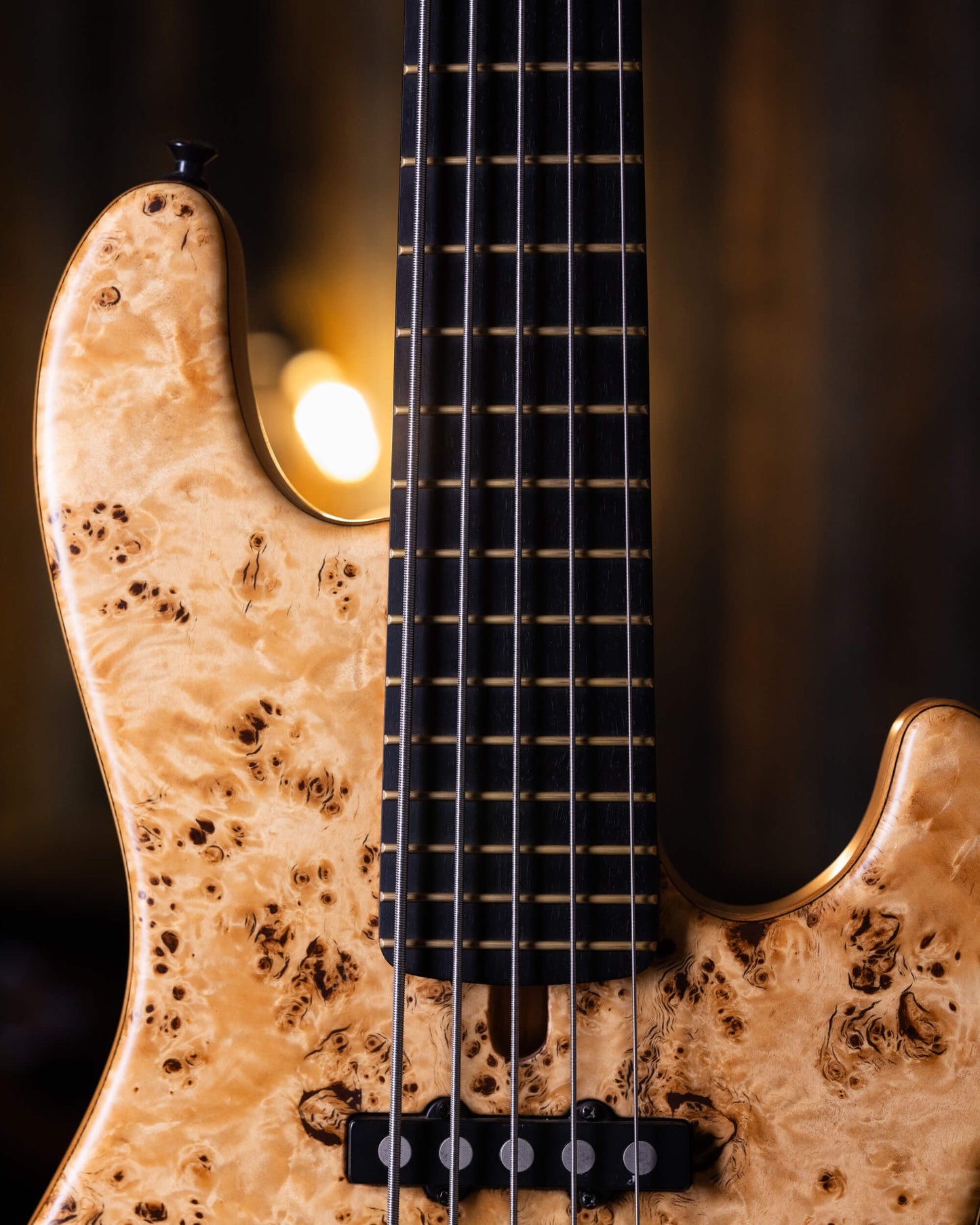 Mayones Jabba 5 Custom Poplar Burl 2011