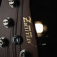 Atelier Z Beta6 ALL Walnut 2025