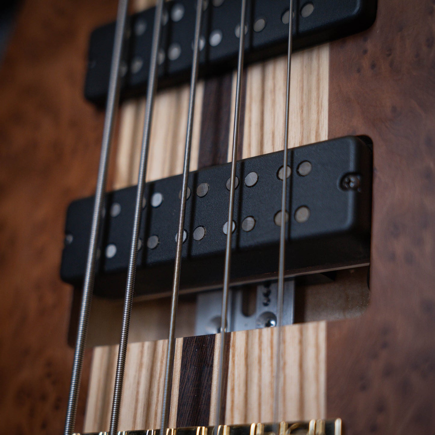 Fodera Imperial II 5 Elite Redwood Burl 2021