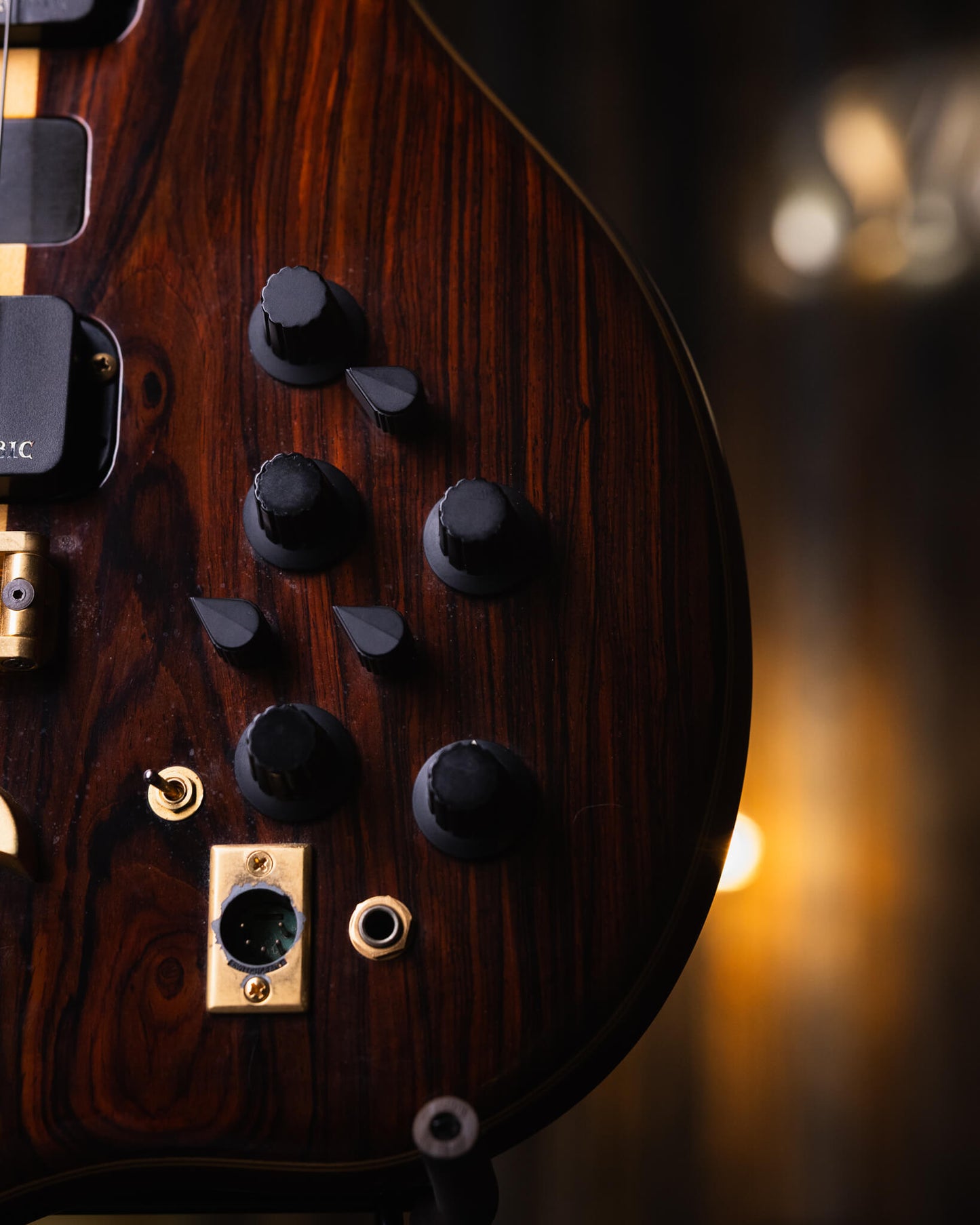 Alembic Serie II Cocobolo 1993
