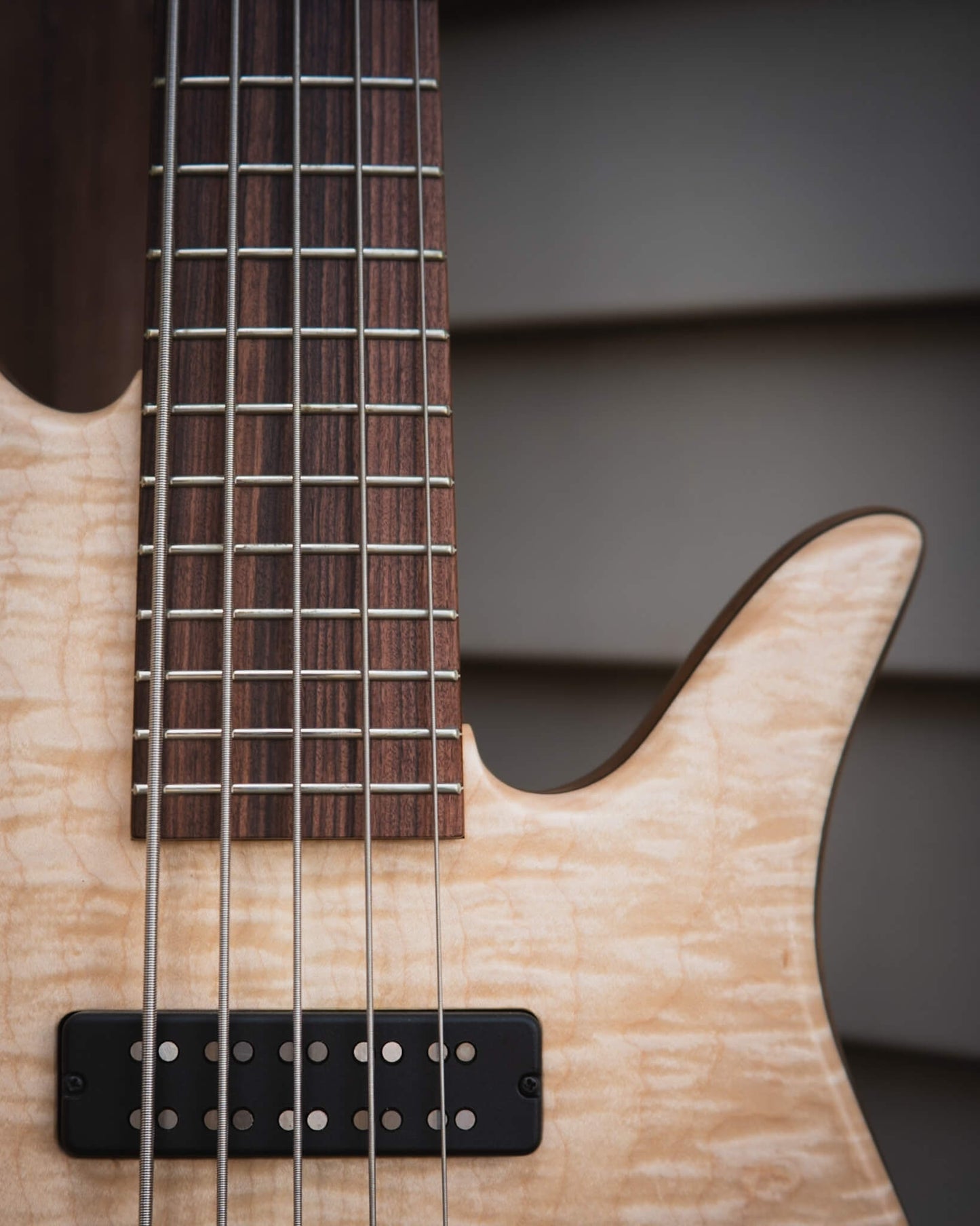 Fodera Monarch 5 BO Flamed Maple 2026