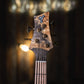 F Bass BN5 Buckeye Burl 2022