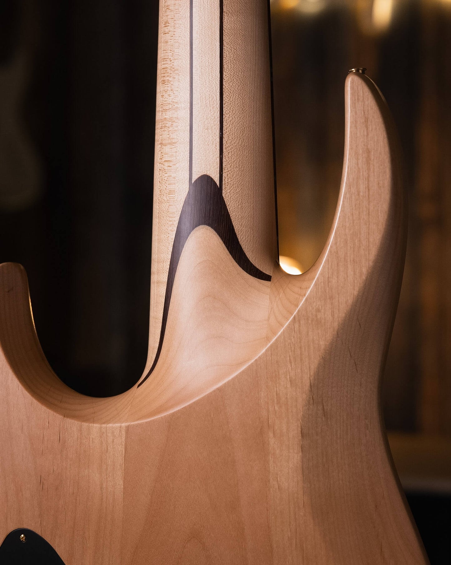 Fodera Contrabass 6 Elite Holly 2022