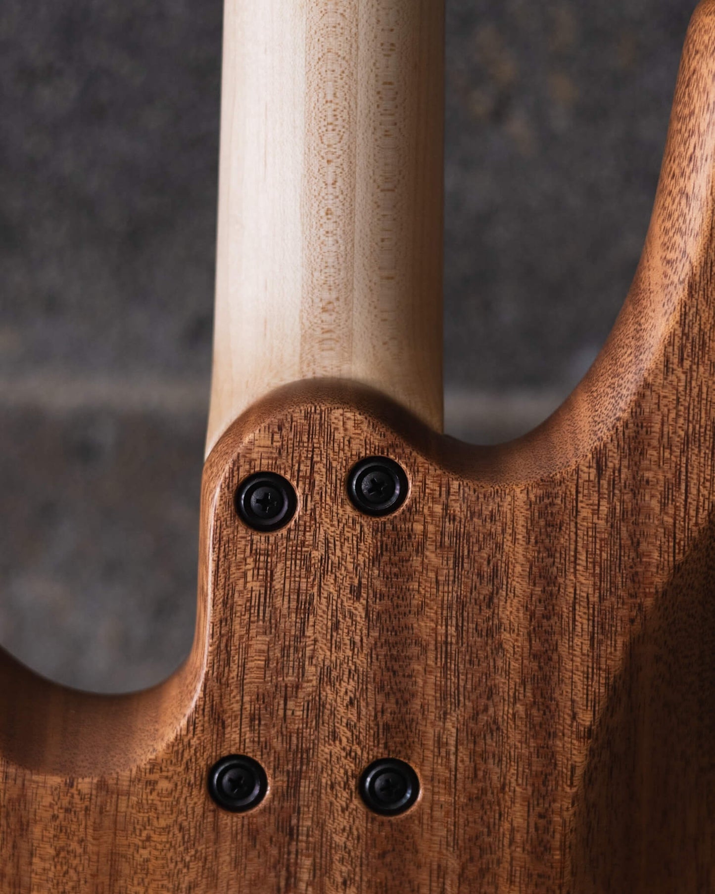 Fodera Emperor 4 Standard Special Buckeye Burl (End-2024)