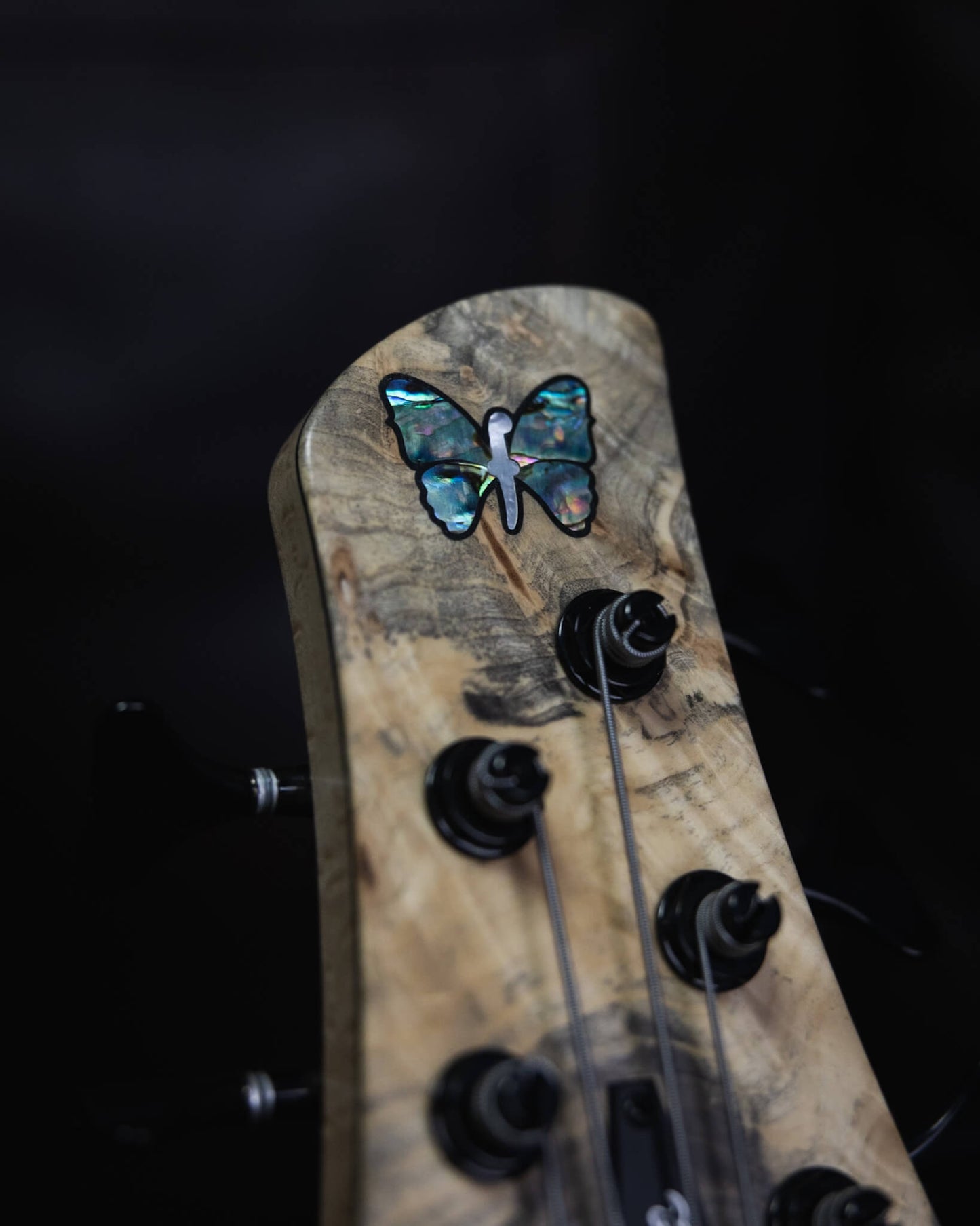 Fodera Emperor 5 Deluxe Buckeye Burl 2024 (early-2024)