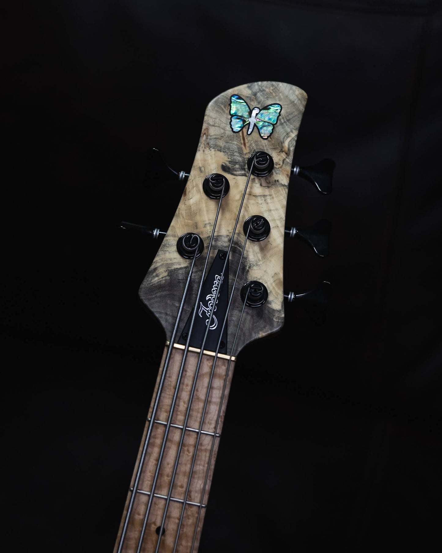 Fodera Emperor 5 Deluxe Buckeye Burl 2024 (early-2024)