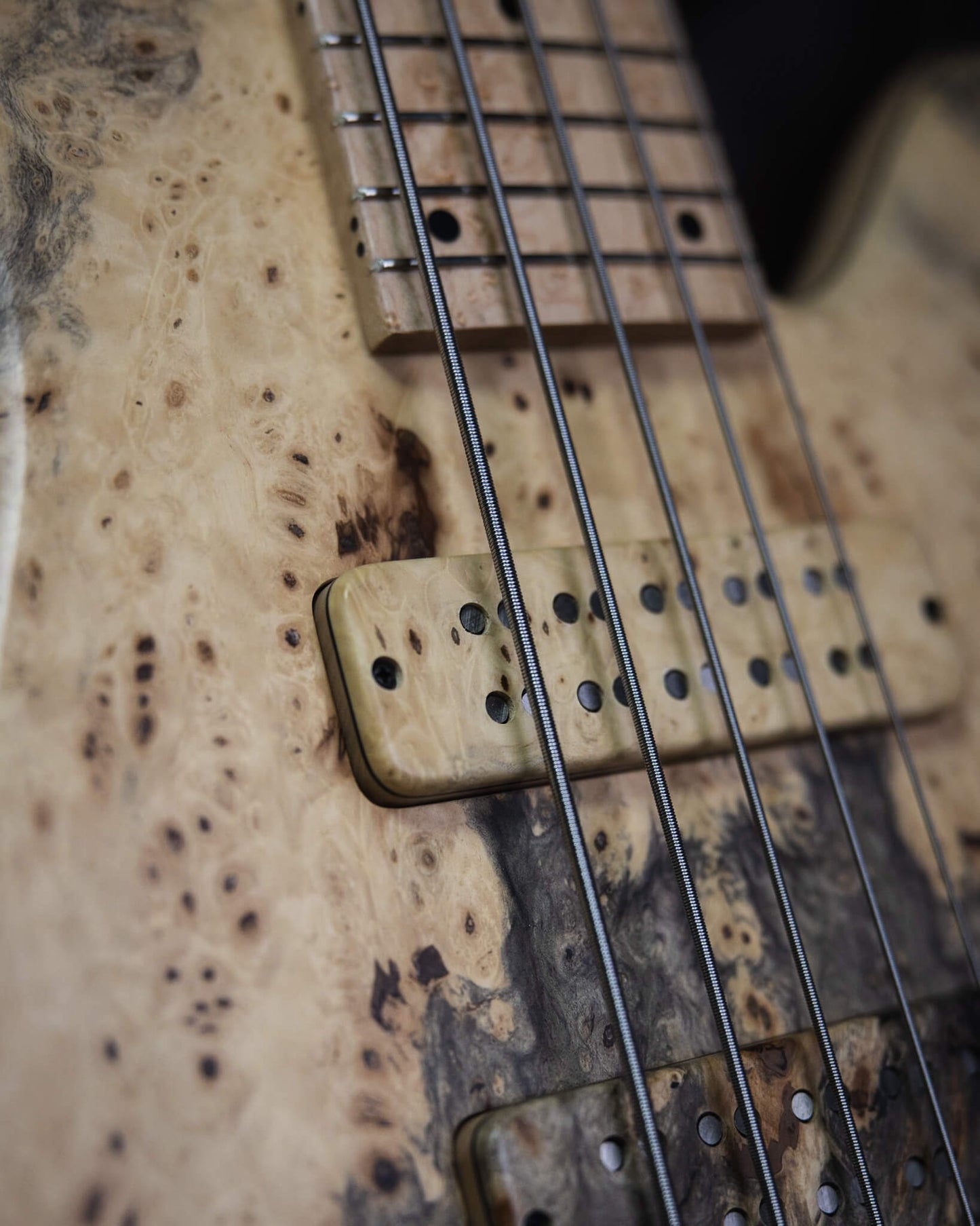 Fodera Emperor 5 Deluxe Buckeye Burl 2024 (early-2024)