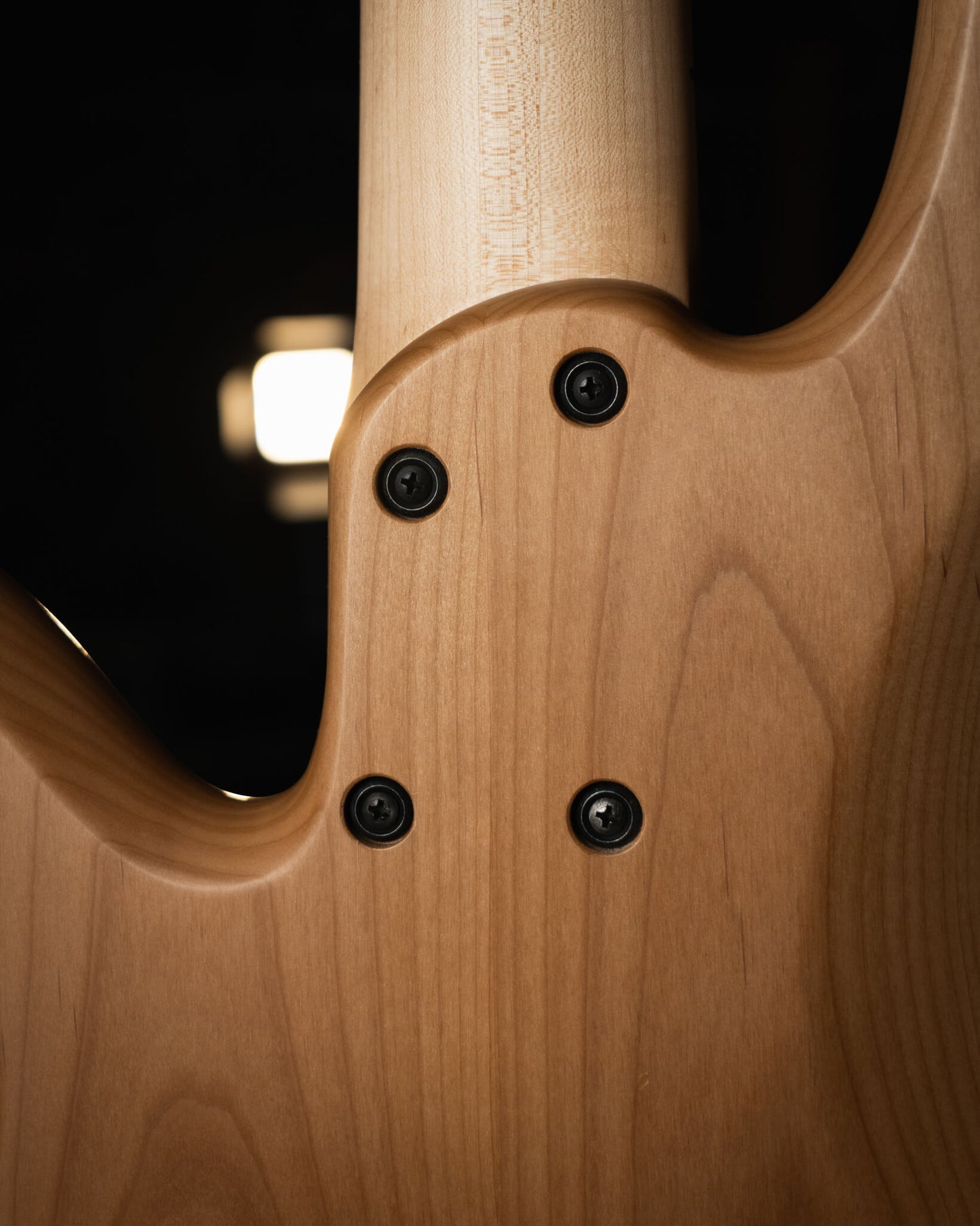 Fodera Emperor 5 Standard Special Buckeye Burl 2025