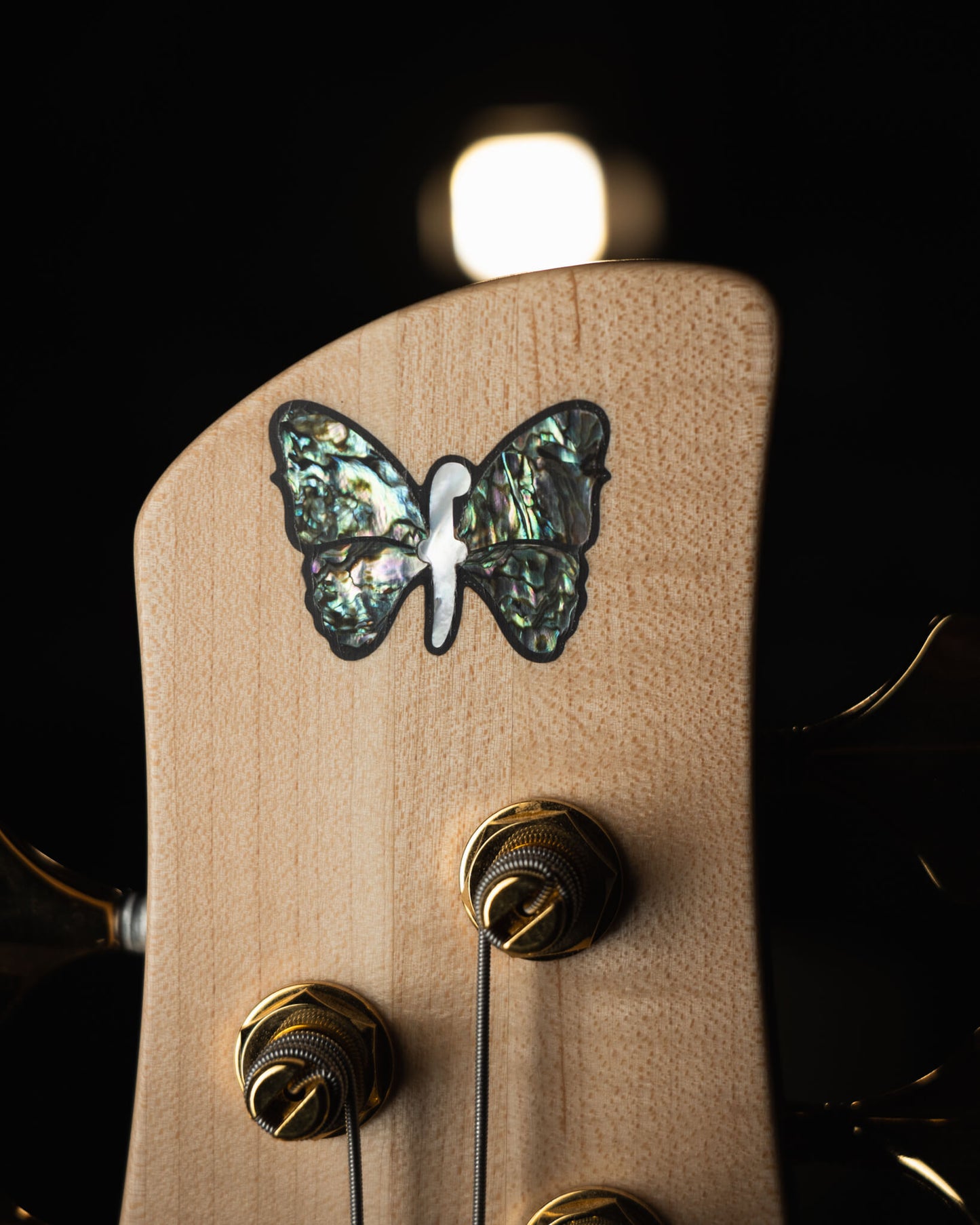 Fodera Emperor 5 Standard Special Buckeye Burl 2025