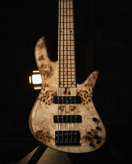 Fodera Emperor 5 Standard Special Poplar Burl 2023