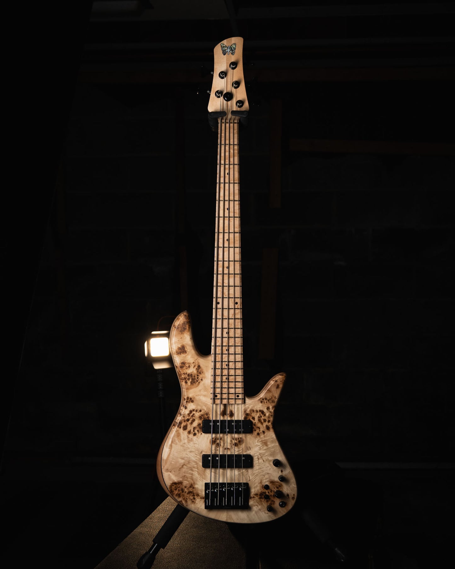Fodera Emperor 5 Standard Special Poplar Burl 2023
