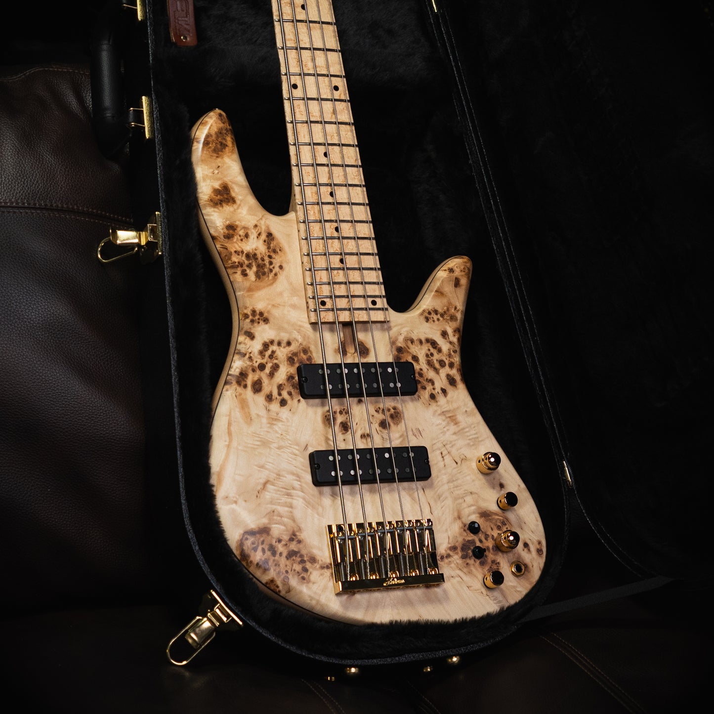 Fodera Emperor 5 Standard Special Poplar Burl 2023