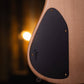 Fodera Emperor 6 Standard Special Poplar Burl (End-2023)
