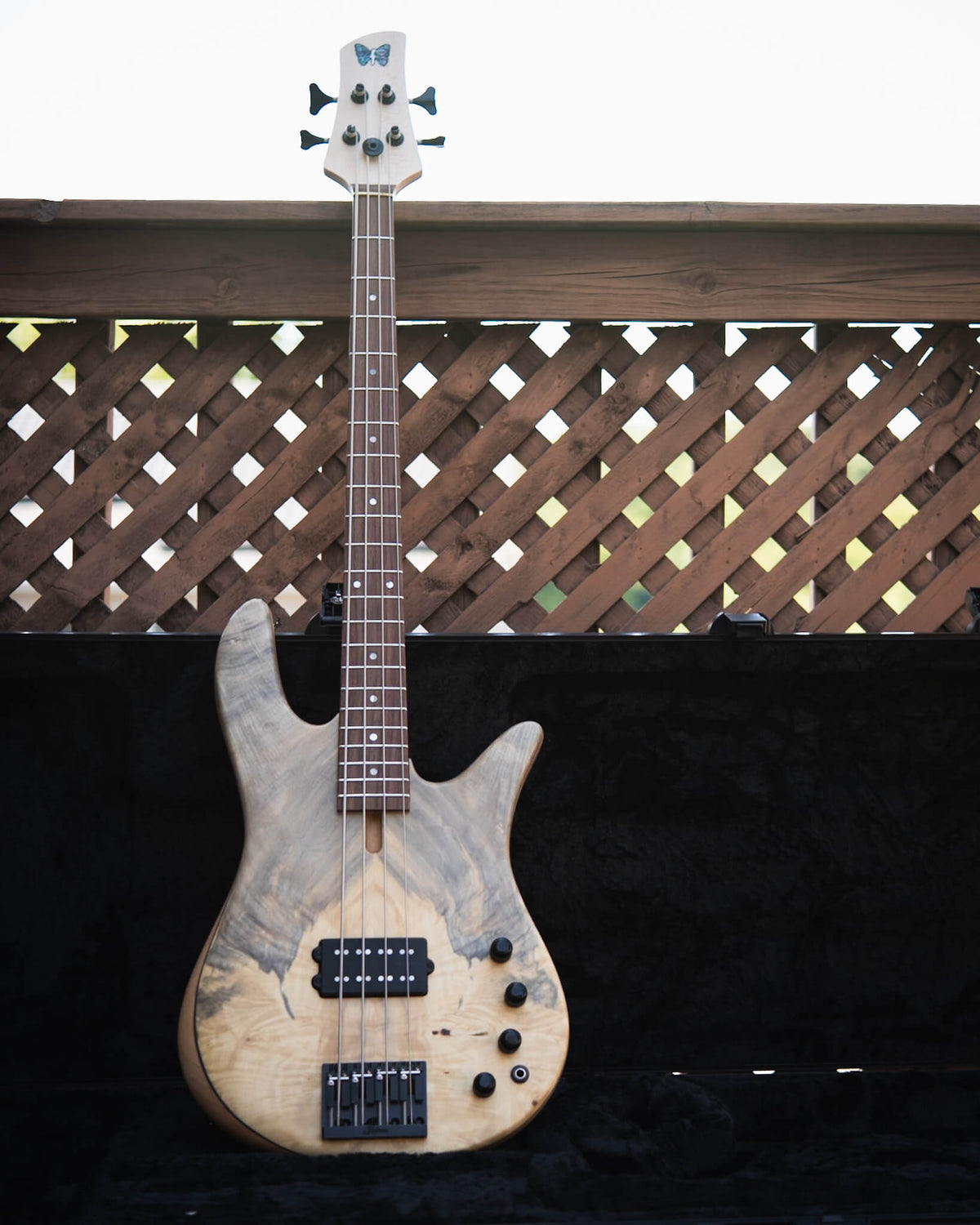Fodera Monarch M Standard Special Buckeye Burl 2026