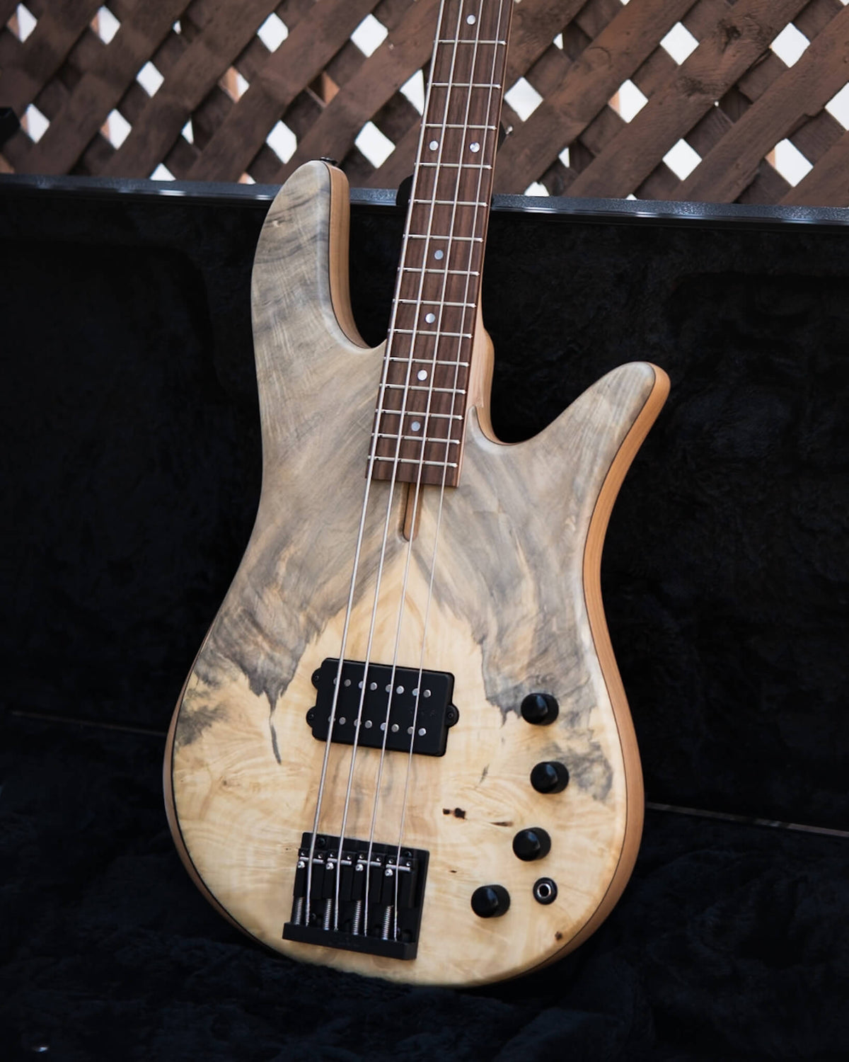 Fodera Monarch M Standard Special Buckeye Burl 2026