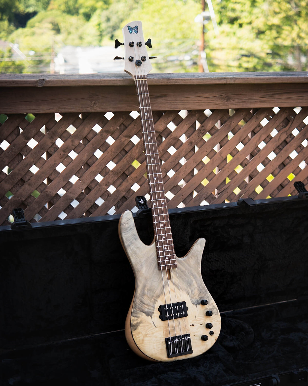 Fodera Monarch M Standard Special Buckeye Burl 2026