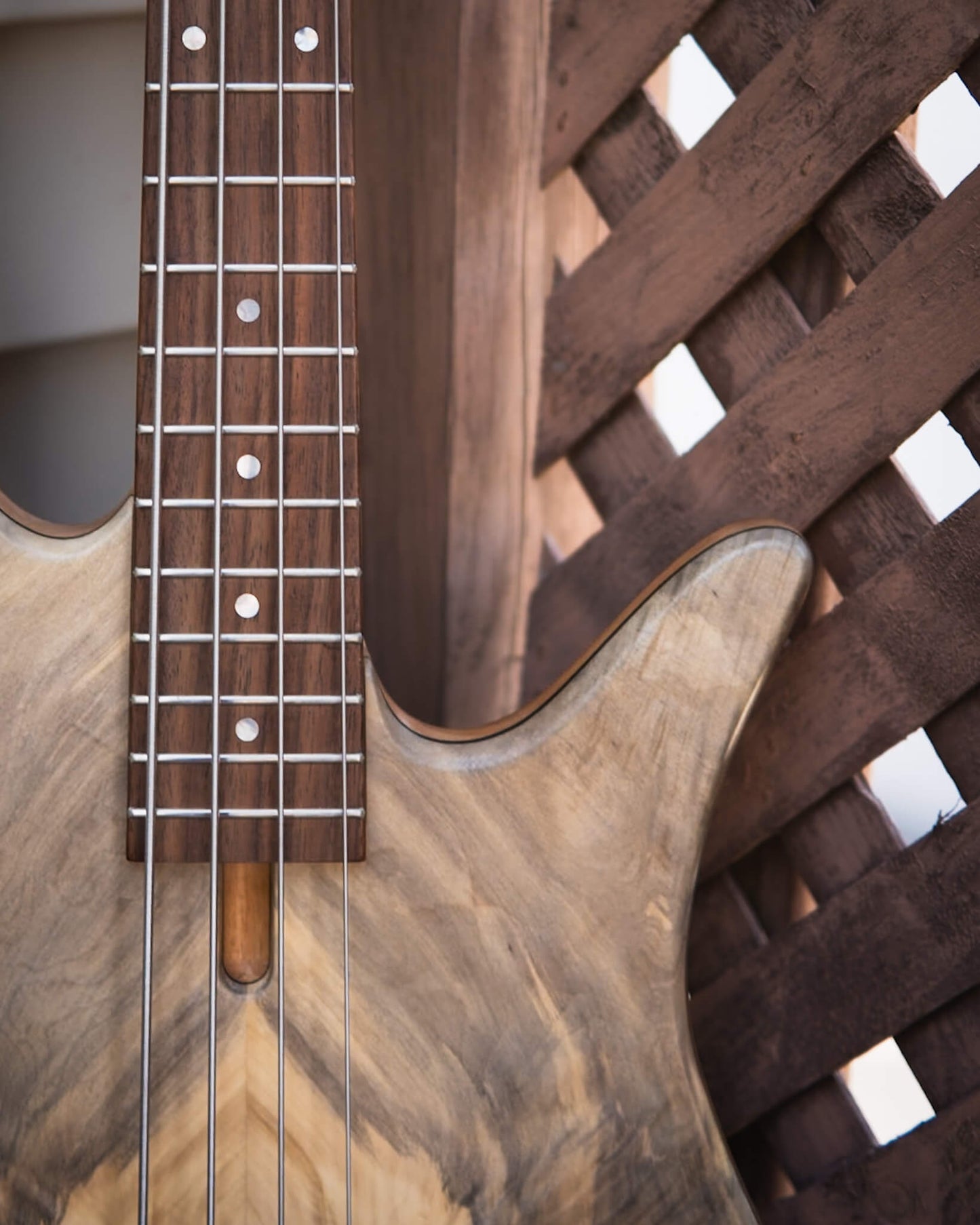Fodera Monarch M Standard Special Buckeye Burl 2026