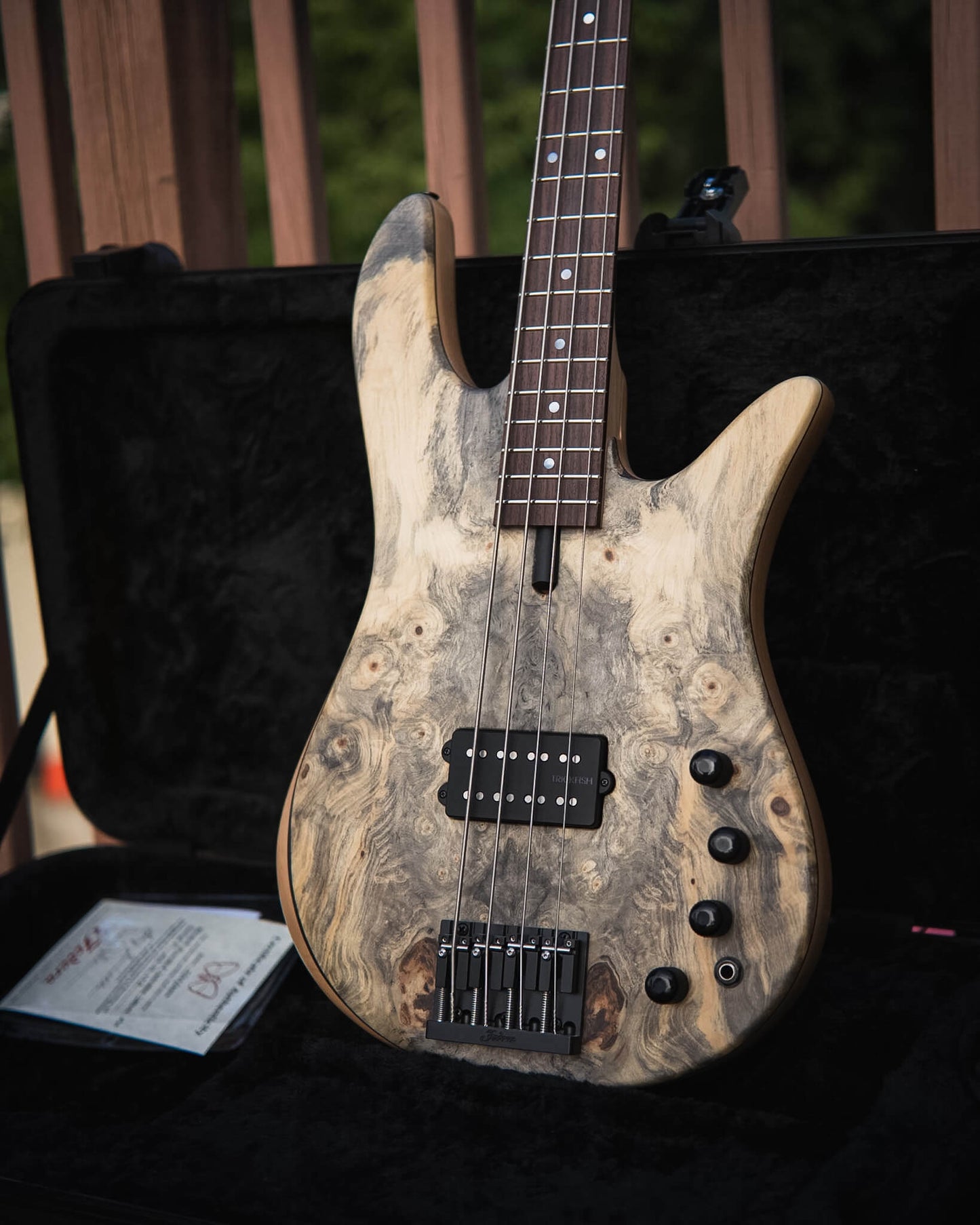 Fodera Monarch M Standard Special Buckeye Burl 2026