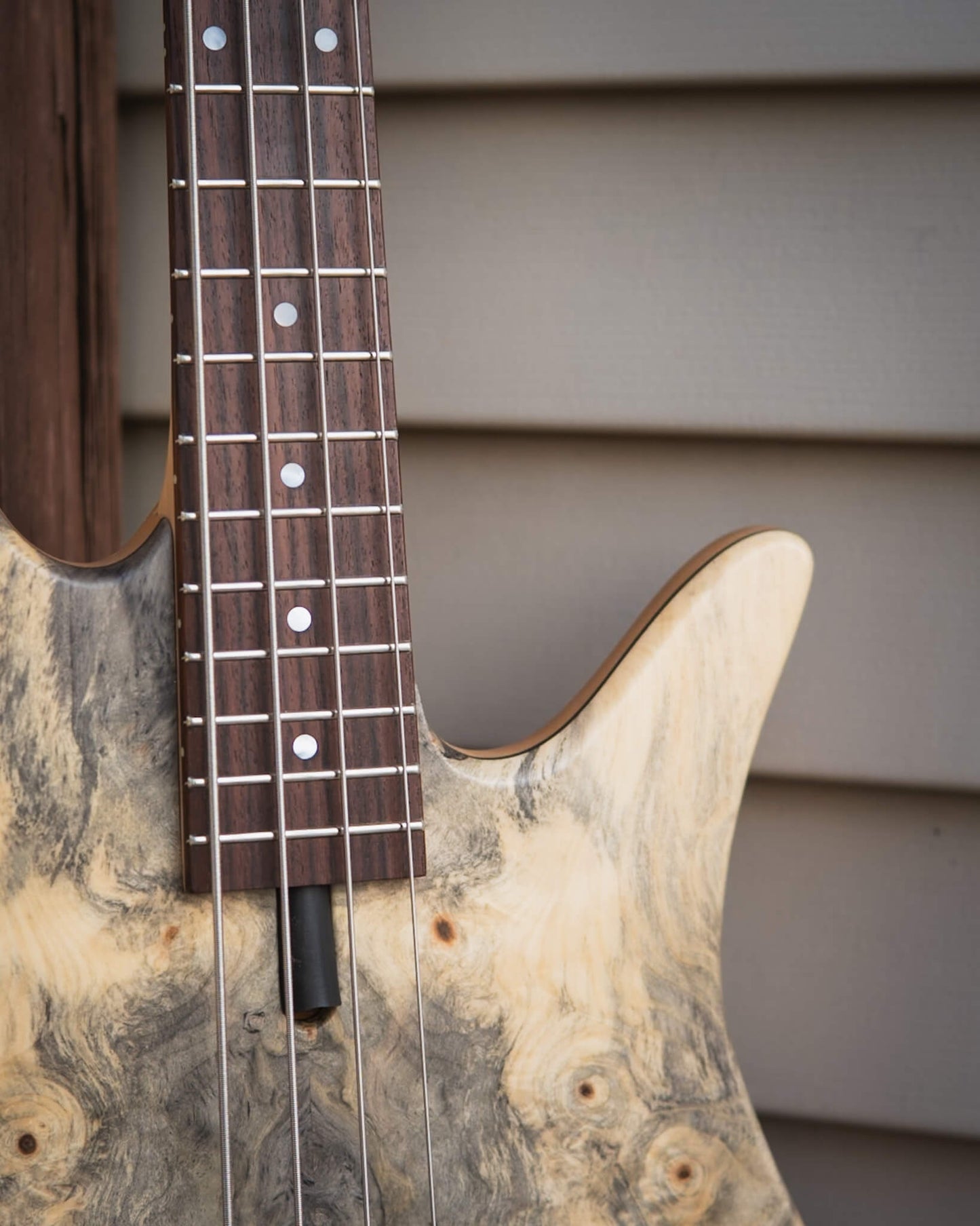 Fodera Monarch M Standard Special Buckeye Burl 2026
