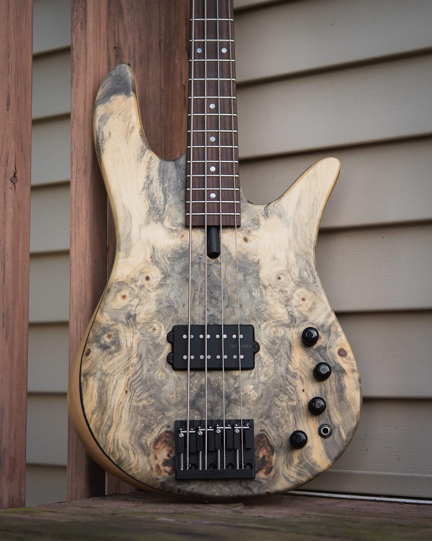 Fodera Monarch M Standard Special Buckeye Burl 2026